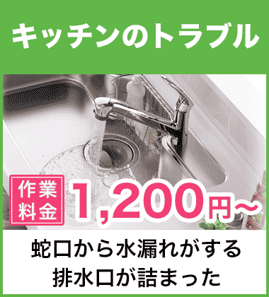 キッチン（台所）の蛇口の水漏れ修理 大阪南エリア